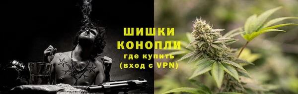 твердый Няндома