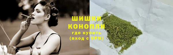 твердый Няндома