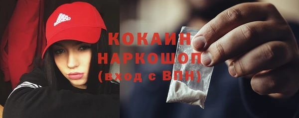 твердый Няндома