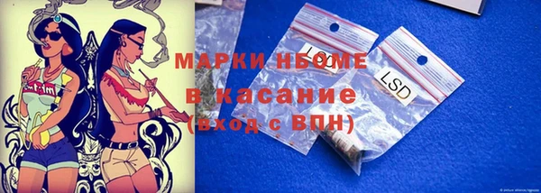 твердый Няндома