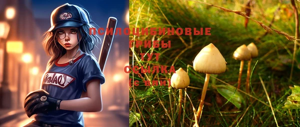 круглые Нягань