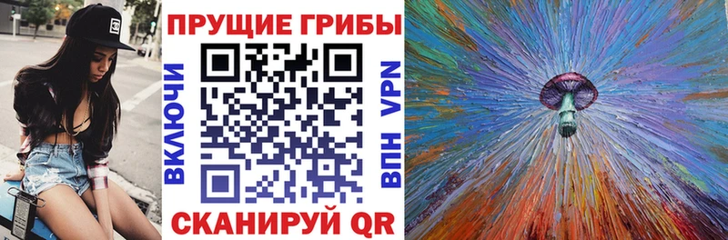 Псилоцибиновые грибы Cubensis Шахунья
