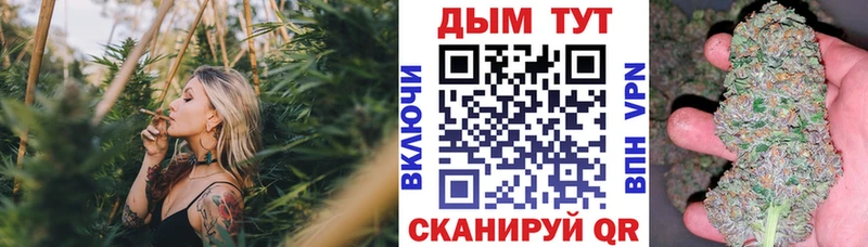 что такое наркотик  KRAKEN tor  Бошки марихуана ГИДРОПОН  Шахунья 